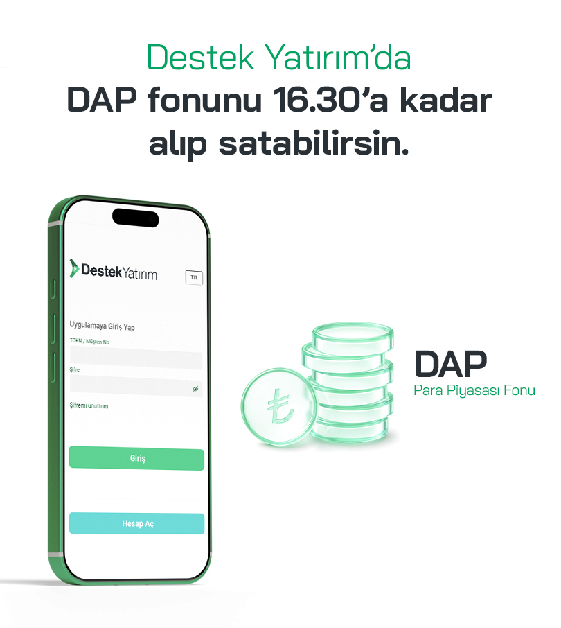 Destek Portföy Para Piyasası Fonu görseli