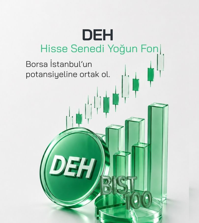 Destek Portföy Hisse Senedi Fonu görseli