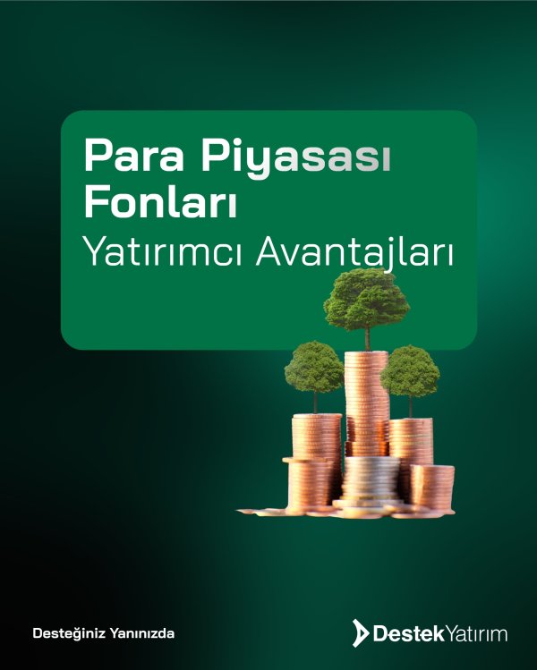 Para Piyasası Fonları (PPF): Tanım, Yapı ve Yatırımcı Avantajları