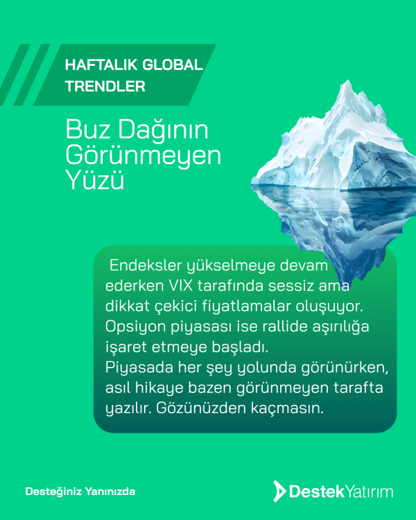 Buz Dağının Görünmeyen Yüzü