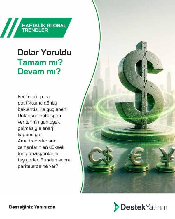 Dolar Yoruldu Tamam mı? Devam mı?